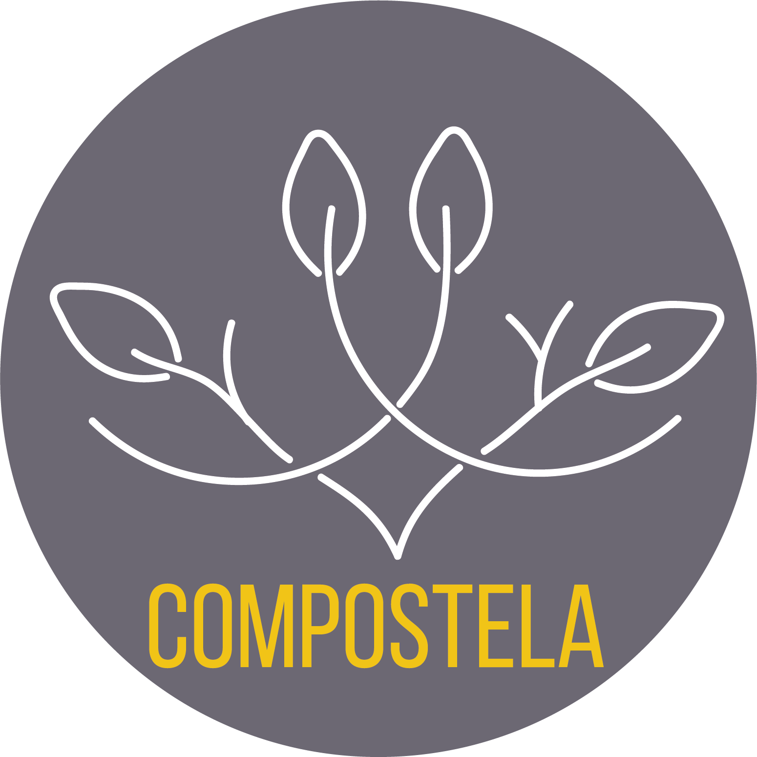Fundación Compostela